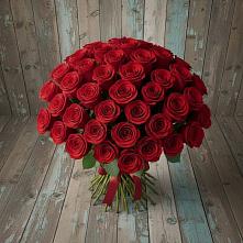 Букет 55 Красных роз Фридом #REPLACE_PRED# Оренбург