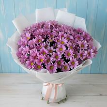 Букет цветов из:  Хризантемы в Оренбург