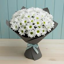 Букет цветов из:  Хризантемы в Оренбург