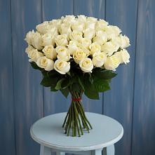 Букет 51 Белая роза Эдлесс Лав #REPLACE_PRED# Оренбург