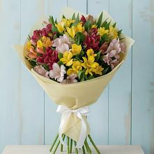 Букет цветов из:  Альстромерии в Оренбург