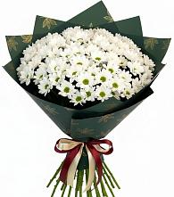 Букет цветов из:  Хризантемы в Оренбург