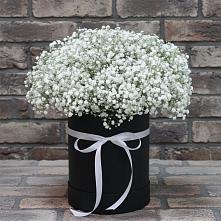 Цветочная композиция из Гипсофила в шляпной коробке в Оренбург