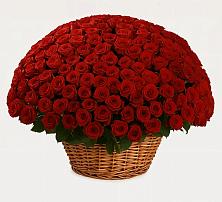 Премиум букет из: Розы в Оренбург